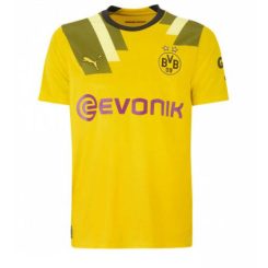 Borussia Dortmund Sebastien Haller #9 Derde tenue Mensen 2022-23 Korte Mouw-1