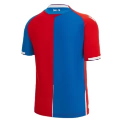 Crystal Palace Thuisshirt 2023-2024 Voetbalshirt met Korte Mouw-1