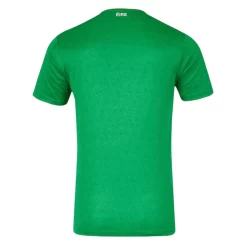 Ierland Thuisshirt 2024 Voetbalshirts Korte Mouw-1