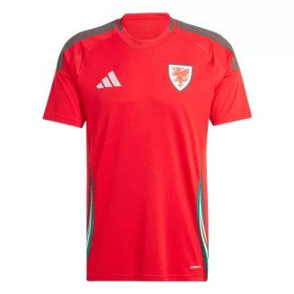 Wales Thuisshirt 2024 Voetbalshirts Korte Mouw